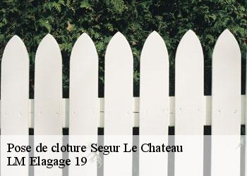 Pose de cloture  segur-le-chateau-19230 LM Elagage 19