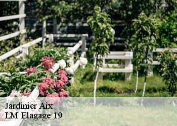 Jardinier aix-19200 LM Elagage 19