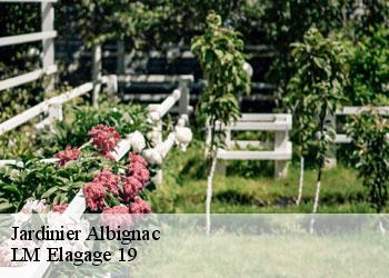 Jardinier albignac-19190 LM Elagage 19