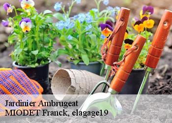 Jardinier  ambrugeat-19250 MIODET Franck, elagage19
