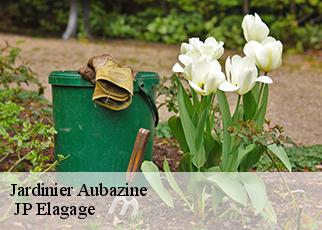 Jardinier aubazine-19190 MIODET Franck, elagage19