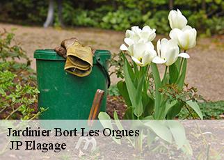 Jardinier bort-les-orgues-19110 JP Elagage