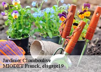 Jardinier  chamboulive-19450 MIODET Franck, elagage19