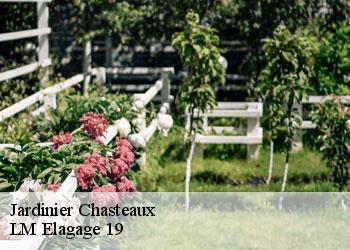 Jardinier  chasteaux-19600 LM Elagage 19