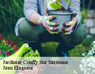 Jardinier couffy-sur-sarsonne-19340 Jean Elagueur