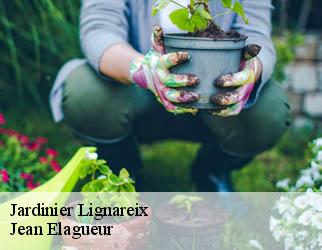 Jardinier lignareix-19200 Jean Elagueur