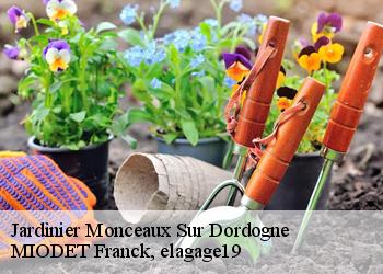 Jardinier  monceaux-sur-dordogne-19400 MIODET Franck, elagage19