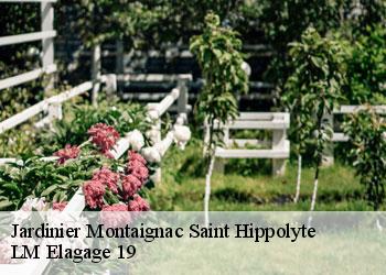 Jardinier montaignac-saint-hippolyte-19300 LM Elagage 19