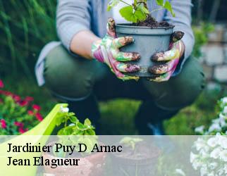 Jardinier puy-d-arnac-19120 Jean Elagueur