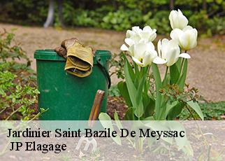 Jardinier  saint-bazile-de-meyssac-19500 MIODET Franck, elagage19