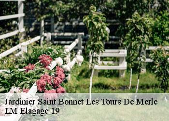 Jardinier saint-bonnet-les-tours-de-merle-19430 LM Elagage 19