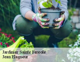 Jardinier sainte-fereole-19270 Jean Elagueur