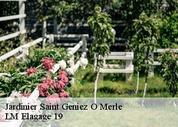 Jardinier saint-geniez-o-merle-19220 LM Elagage 19