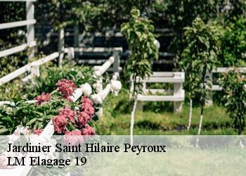 Jardinier saint-hilaire-peyroux-19560 LM Elagage 19