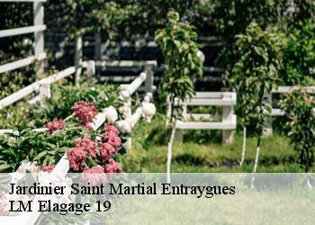 Jardinier saint-martial-entraygues-19400 LM Elagage 19