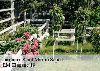 Jardinier saint-martin-sepert-19210 LM Elagage 19