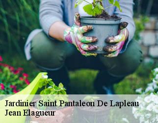 Jardinier saint-pantaleon-de-lapleau-19160 Jean Elagueur