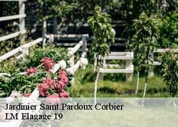 Jardinier saint-pardoux-corbier-19210 LM Elagage 19