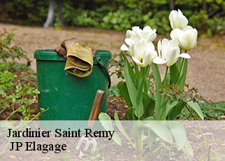 Jardinier saint-remy-19290 MIODET Franck, elagage19