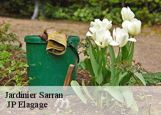 Jardinier sarran-19800 MIODET Franck, elagage19