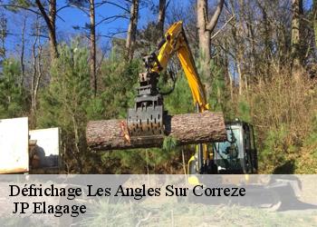 Défrichage les-angles-sur-correze-19000 JP Elagage