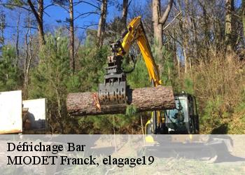 Défrichage  bar-19800 MIODET Franck, elagage19