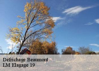 Défrichage  beaumont-19390 LM Elagage 19