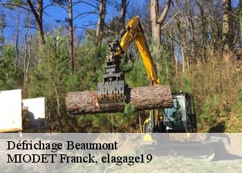 Défrichage  beaumont-19390 MIODET Franck, elagage19