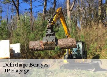 Défrichage benayes-19510 JP Elagage