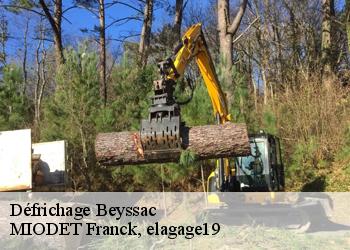 Défrichage  beyssac-19230 MIODET Franck, elagage19