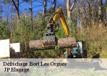 Défrichage  bort-les-orgues-19110  JP Elagage