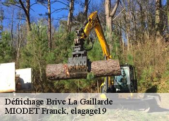 Défrichage  brive-la-gaillarde-19100 MIODET Franck, elagage19