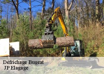 Défrichage bugeat-19170 JP Elagage