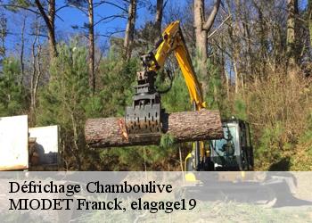 Défrichage  chamboulive-19450 MIODET Franck, elagage19