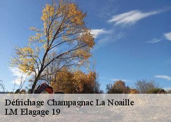 Défrichage champagnac-la-noaille-19320 LM Elagage 19