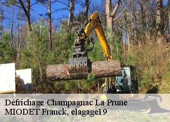 Défrichage  champagnac-la-prune-19320 MIODET Franck, elagage19