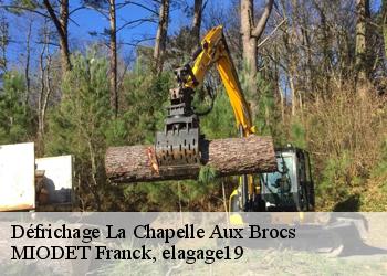 Défrichage  la-chapelle-aux-brocs-19360 MIODET Franck, elagage19