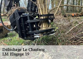 Défrichage 19190