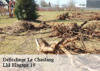 Défrichage 19190