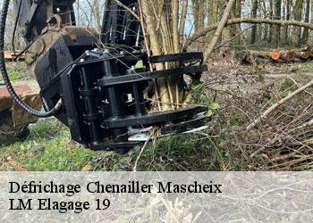 Défrichage  19120