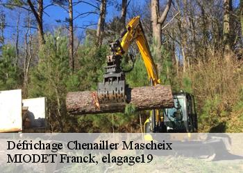 Défrichage  chenailler-mascheix-19120 MIODET Franck, elagage19