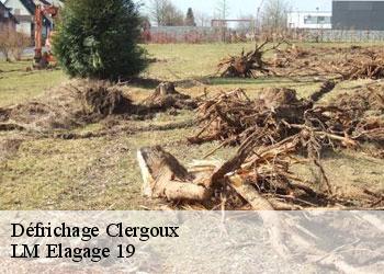 Défrichage 19320