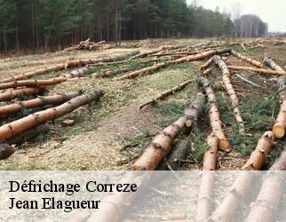 Défrichage correze-19800 Jean Elagueur