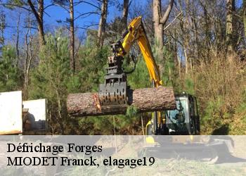 Défrichage  forges-19380 MIODET Franck, elagage19