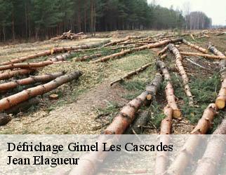 Défrichage gimel-les-cascades-19800 Jean Elagueur