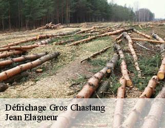 Défrichage gros-chastang-19320 Jean Elagueur