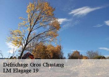 Défrichage  gros-chastang-19320 LM Elagage 19