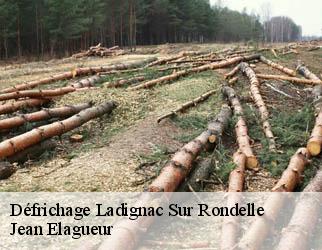 Défrichage ladignac-sur-rondelle-19150 Jean Elagueur