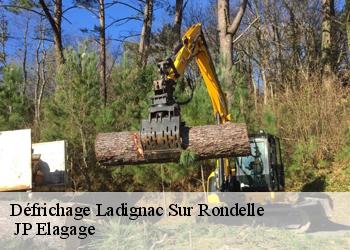 Défrichage ladignac-sur-rondelle-19150 JP Elagage