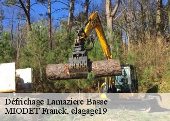 Défrichage  lamaziere-basse-19160 MIODET Franck, elagage19